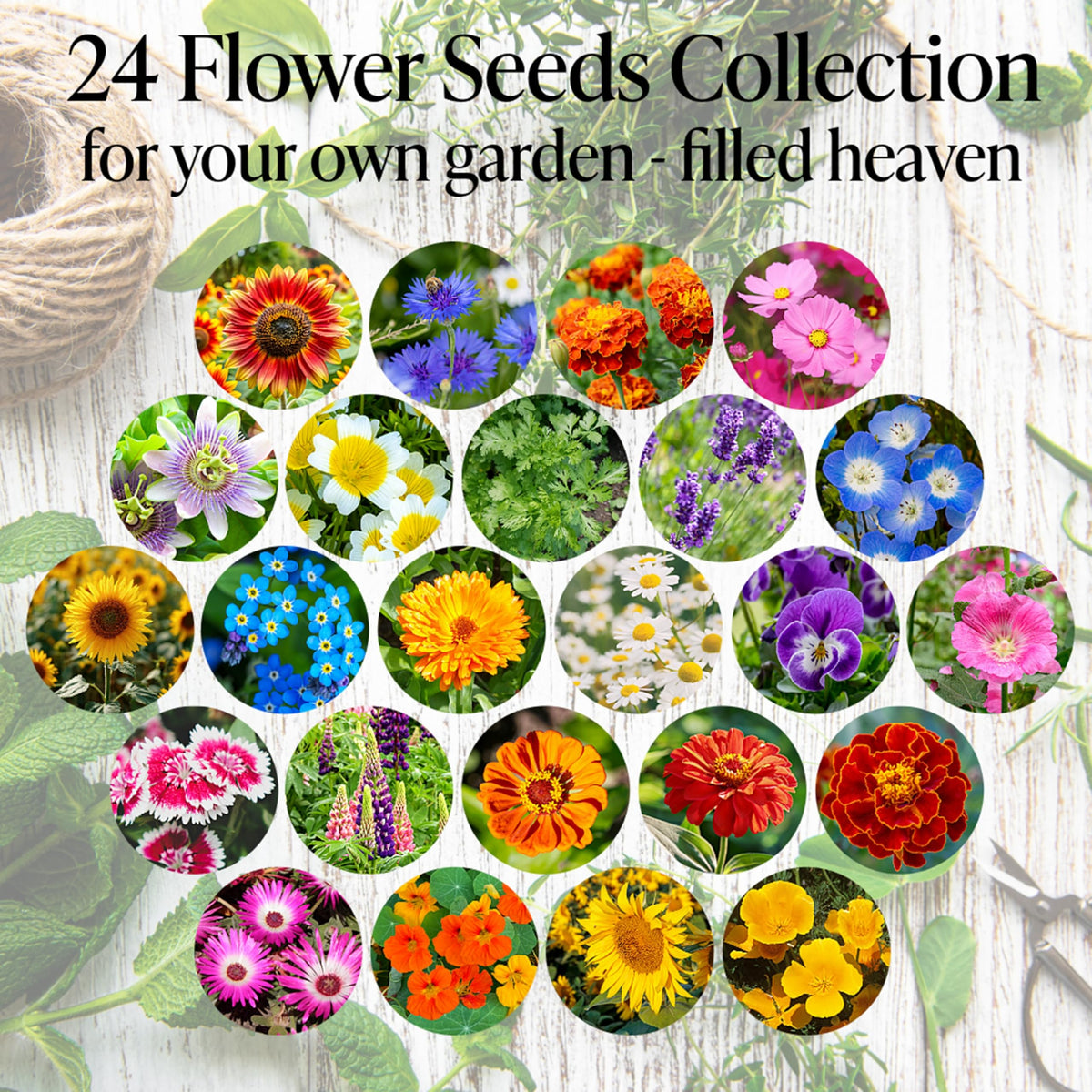 Flower Seeds Advent Calendar 2026-24 Days Christmas Countdown Advent Calendar with Flower Seeds & Greenhouse. Christmas Gifts & Birthday Gifts