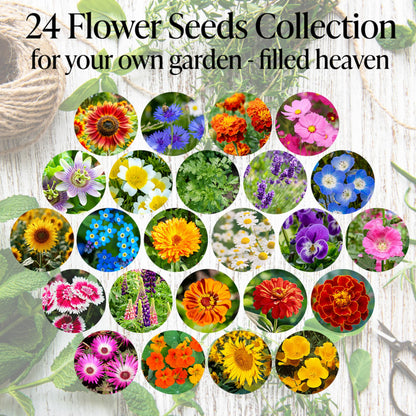 Flower Seeds Advent Calendar 2026-24 Days Christmas Countdown Advent Calendar with Flower Seeds & Greenhouse. Christmas Gifts & Birthday Gifts