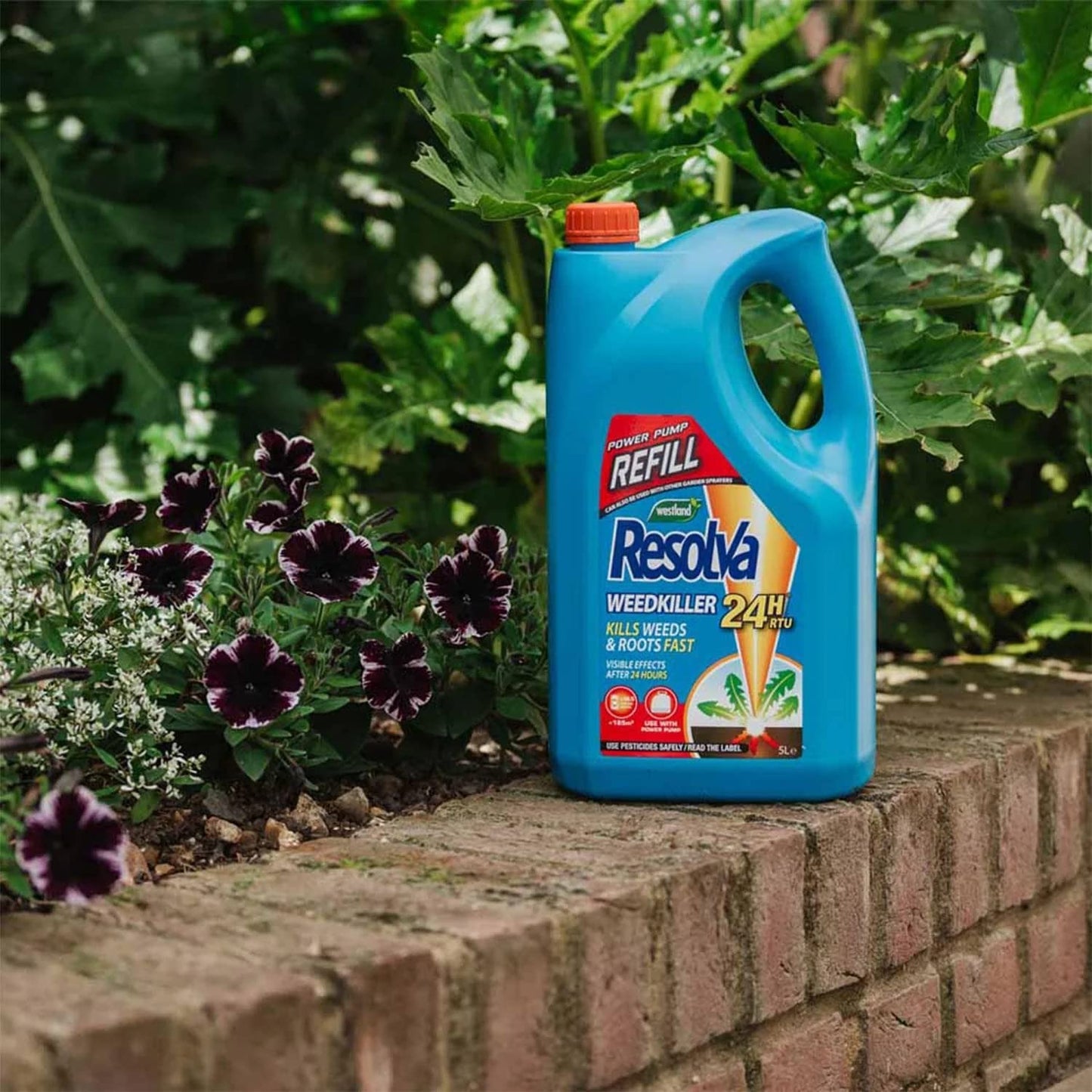 Resolva Xpress 24H Weedkiller Power Pump Refill 5L