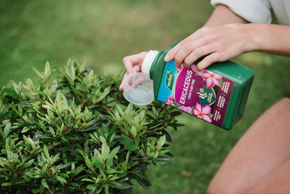 Westland Hydrangea High Performance Liquid Plant Food 1L