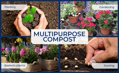 Westland Multi-Purpose Garden Compost Peat Free with John Innes 3x10L