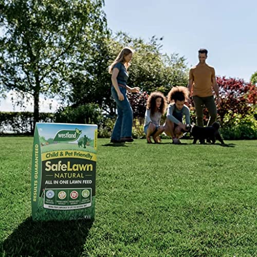 Garden Child & Pet Friendly Safelawn - Pack of 2 x 150msq Natural All In One Safe Lawn Feed Grass Seeds with Topline Card. Lawn Food is Super Durable & Fast to Grow!