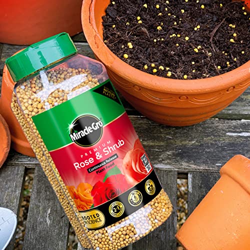 Miracle-Gro Premium Rose & Shrub Continuous Release Plant Food 900g