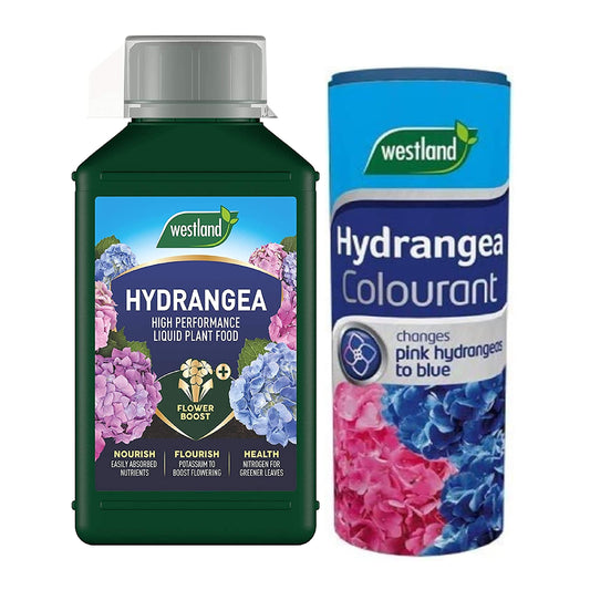 Westland Hydrangea Plant Feed Bundle - 1L High-Performance Hydrangea Liquid Plant Food & 500g Hydrangea Colourant. Garden Fertilisers for Outdoor Plants with Topline Card.