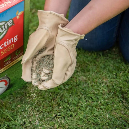Fast Acting Lawn Seeds - Garden Horticulture 900g Fast Acting Lawn Grass Seeds 30msq. Spring Lawn Feed for Low Temperature Germination, Paths Repair with Topline Card.
