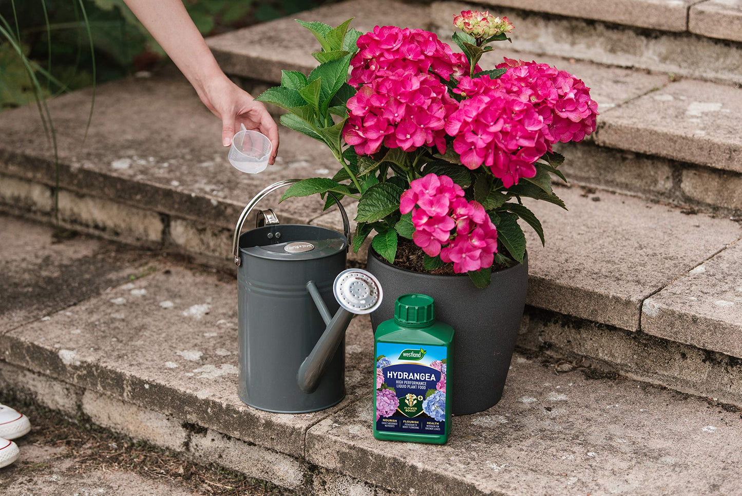 Westland Hydrangea High Performance Liquid Plant Food 1L