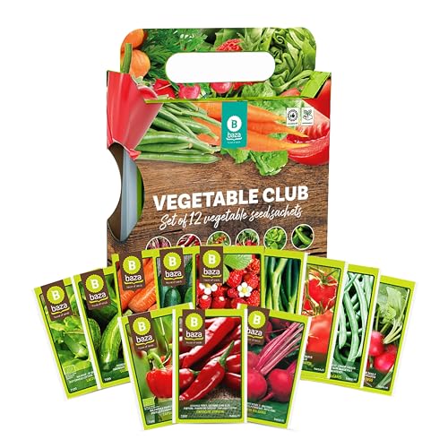 Grow Your Own Vegetable Seeds Set of 12