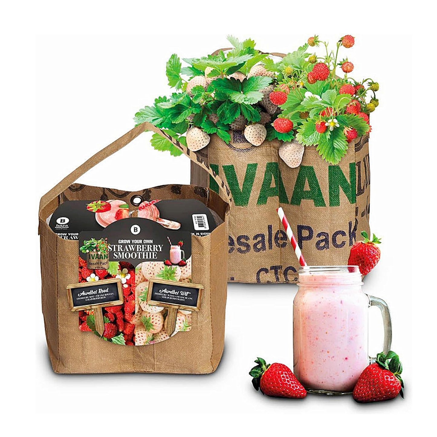 Grow Your Own Strawberry Growing Kit White & Red Seeds + Soil & Grow Bag