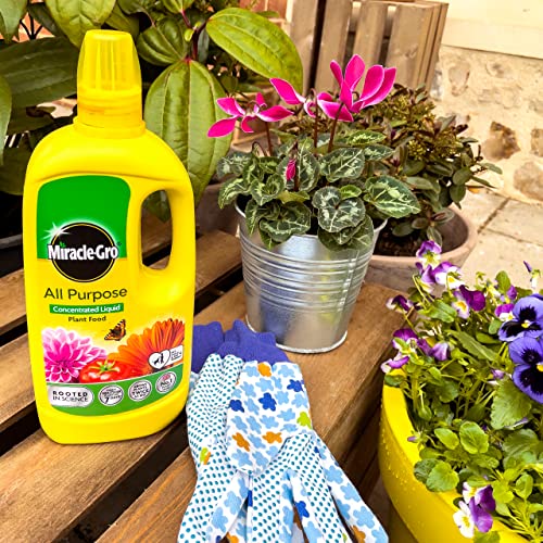 Miracle-Gro All Purpose Concentrated Liquid Plant Food