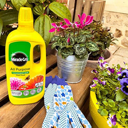 Miracle-Gro All Purpose Concentrated Liquid Plant Food