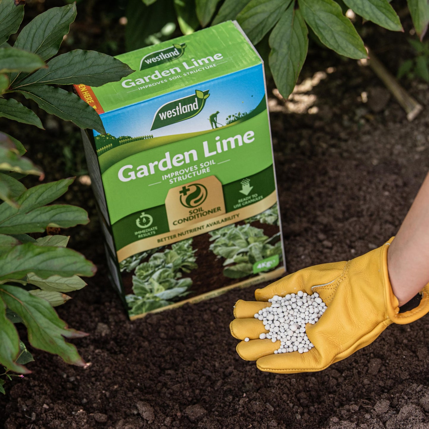 Westland Garden Lime Soil Conditioner