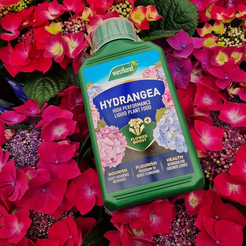 Westland Hydrangea Plant Feed Bundle - 1L High-Performance Hydrangea Liquid Plant Food & 500g Hydrangea Colourant. Garden Fertilisers for Outdoor Plants with Topline Card.