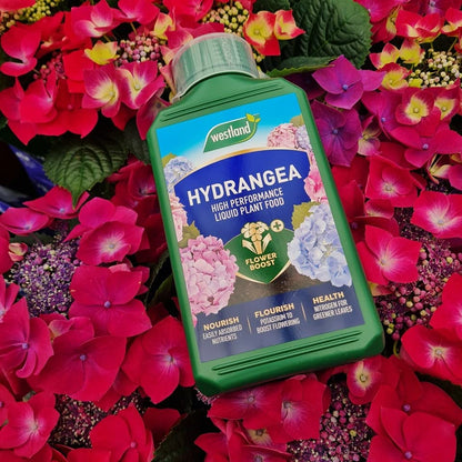 Westland Hydrangea Plant Feed Bundle - 1L High-Performance Hydrangea Liquid Plant Food & 500g Hydrangea Colourant. Garden Fertilisers for Outdoor Plants with Topline Card.