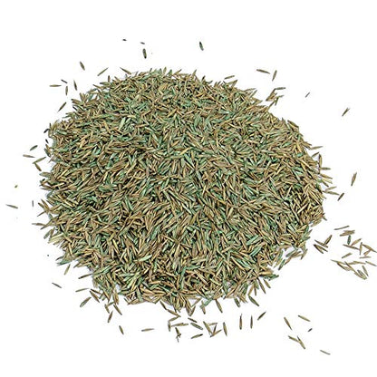 Gro-Sure Fast Acting Lawn Seed 10m²