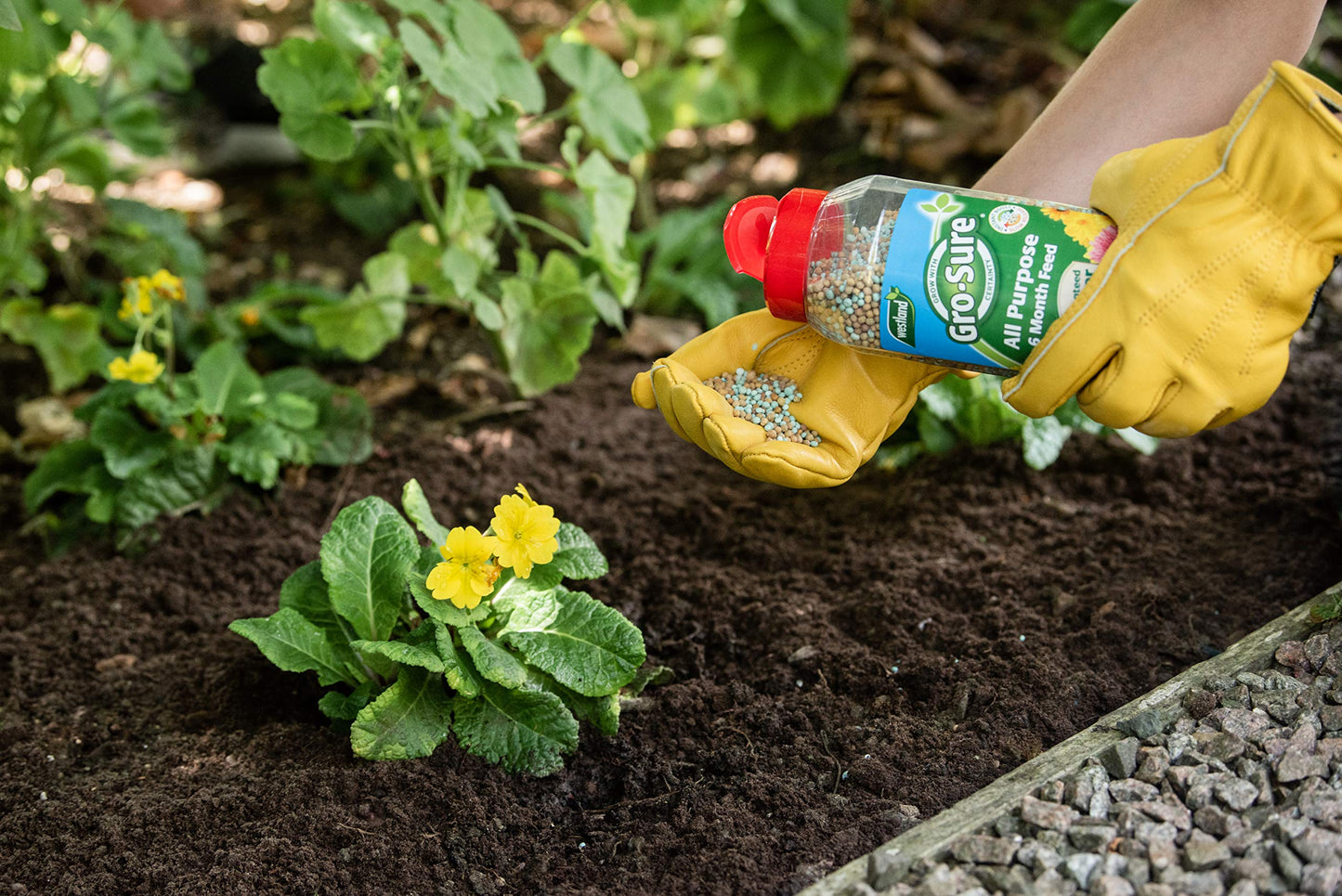 Gro-Sure Slow Release Plant Food