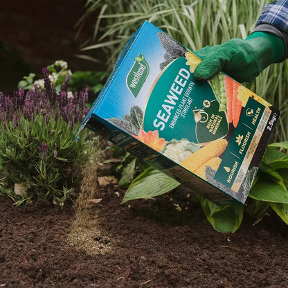Garden Plant Feed Fertiliser Bundle - 2.5kg Organic Seaweed Stimulant & 1.5kg Epsom Salt, Garden Fertilisers for Growing Healthy and Stronger Garden Plants, Vegetables with Topline Card.