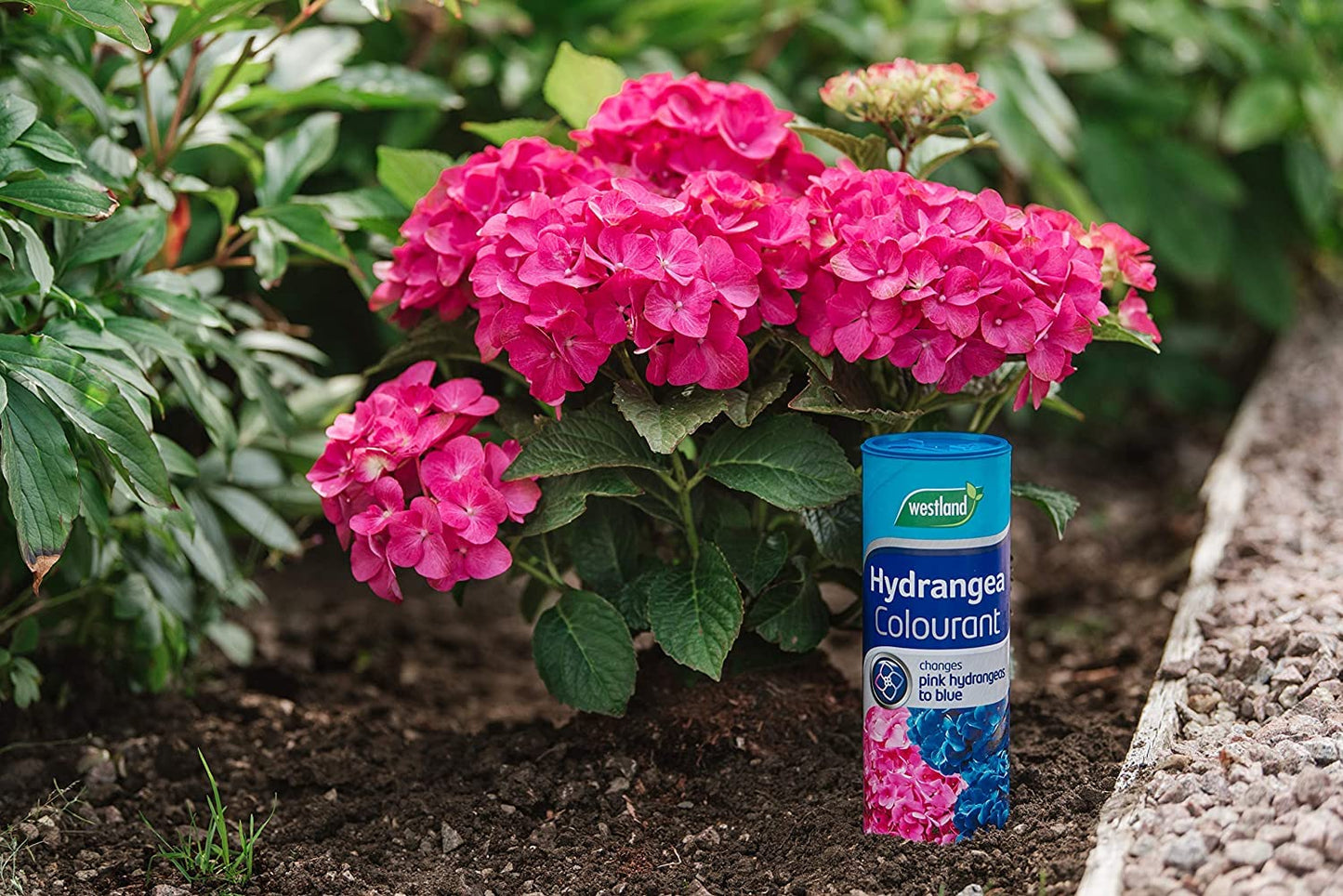 Westland Hydrangea Plant Feed Bundle - 1L High-Performance Hydrangea Liquid Plant Food & 500g Hydrangea Colourant. Garden Fertilisers for Outdoor Plants with Topline Card.