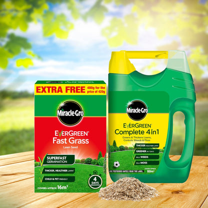 Fast Growing Grass Seed Bundle - Miracle GRO Child & Pet Friendly Fast Grass Lawn Seed 480g 16m2 & Complete 4in1 Lawn Food Spreader 2.8kg 80m2 Spring Lawn Feed Weed and Moss Killer with Topline Card