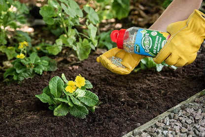 Outdoor Plants Food Fertiliser Bundle - Water Saving Gel 250g & Gro-Sure All Purpose 6-month Plant Food Granules 1.1kg with Topline Card for Slow Release Garden Compost Moisture Feeding Control.