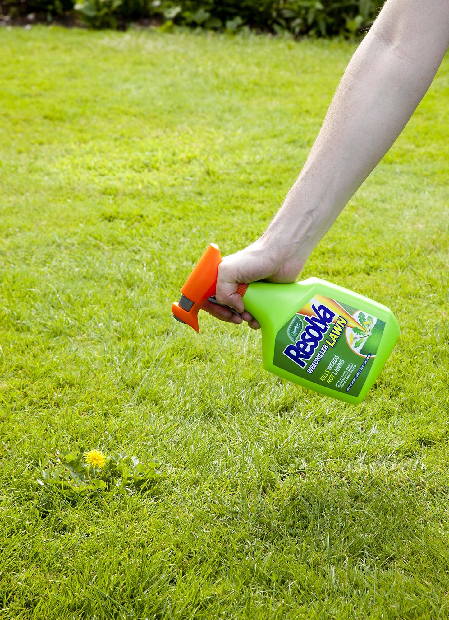 Resolva Lawn Weed Killer Extra Ready to Use 1L