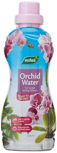 Westland Orchid Water Ready to Use Plant Feed 720ml