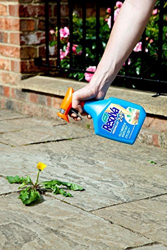 Resolva Path & Drive Weed Killer Ready to Use