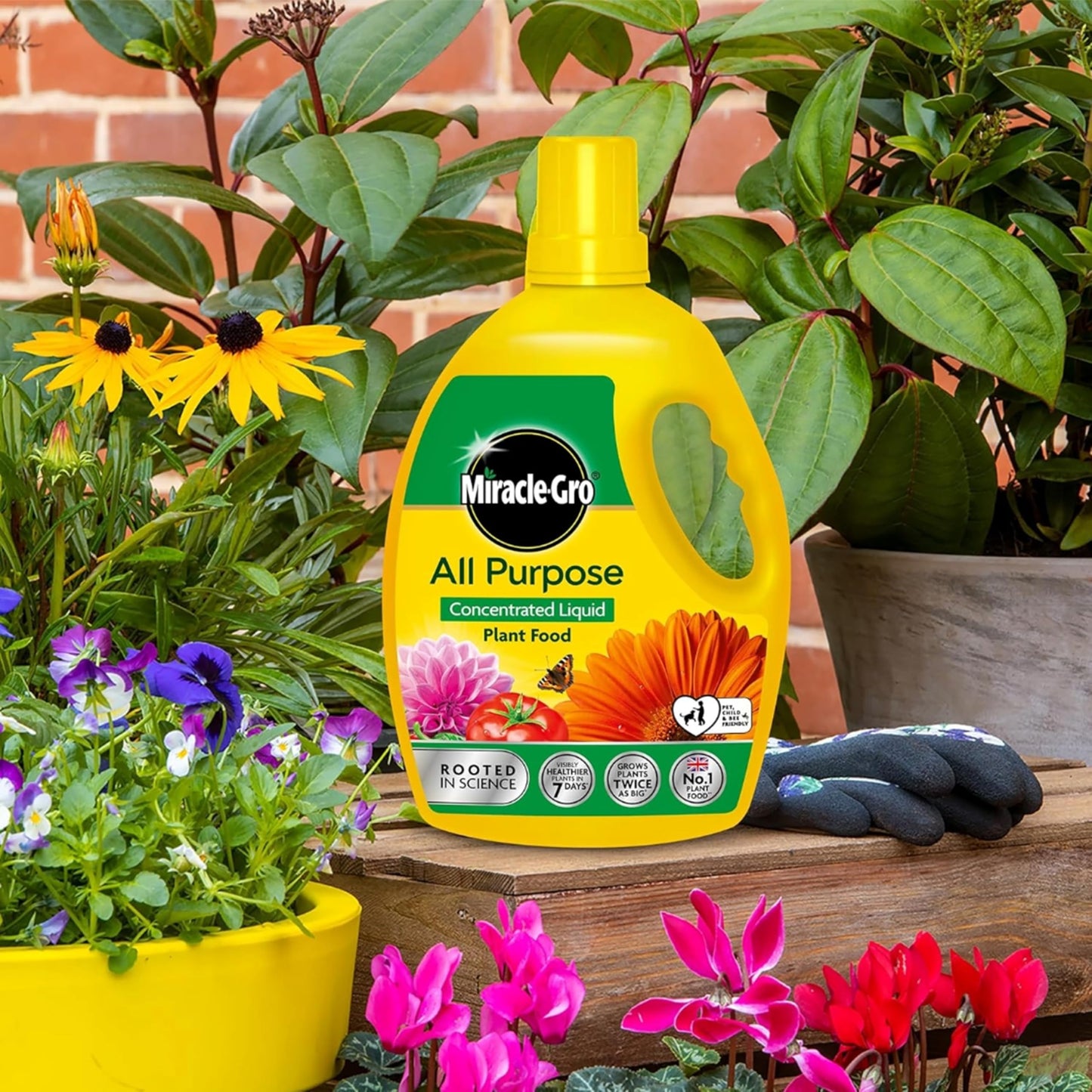Miracle Grow Plant Food Fertiliser - All Purpose 2.5L Plant Feed Concentrated Liquid with Topline Card. Child & Pet Friendly Garden Fertilizer for Outdoor & Indoor House Plants, Vegetables
