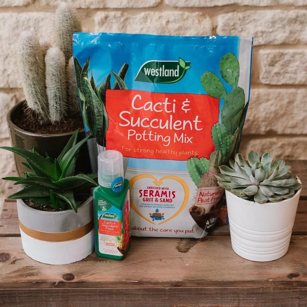 Westland Cacti & Succulent Growing Bundle - Peat Free Succulent Potting Mix Compost with Seramis 4L Bag & Cactus Feed Concentrate 200ml. House Plant Compost Food with Topline Card.