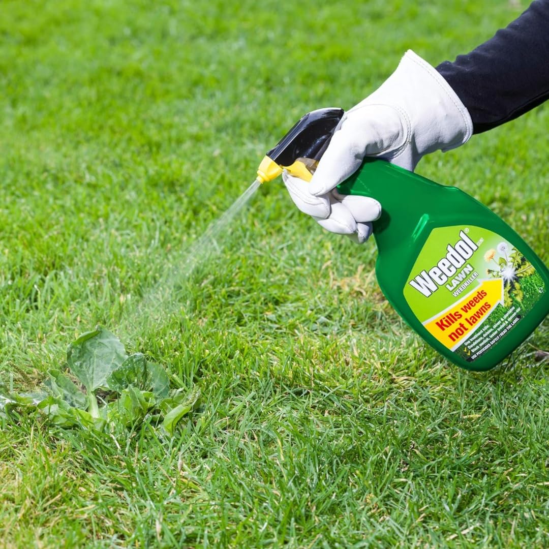 Garden Lawn Weed Killer Bundle - Pack of 2 x1L Ready to Use Weedol Lawn Weed Killer Weed Control with Topline Card. Strong Weedkiller for Dandelions, Daisies and more