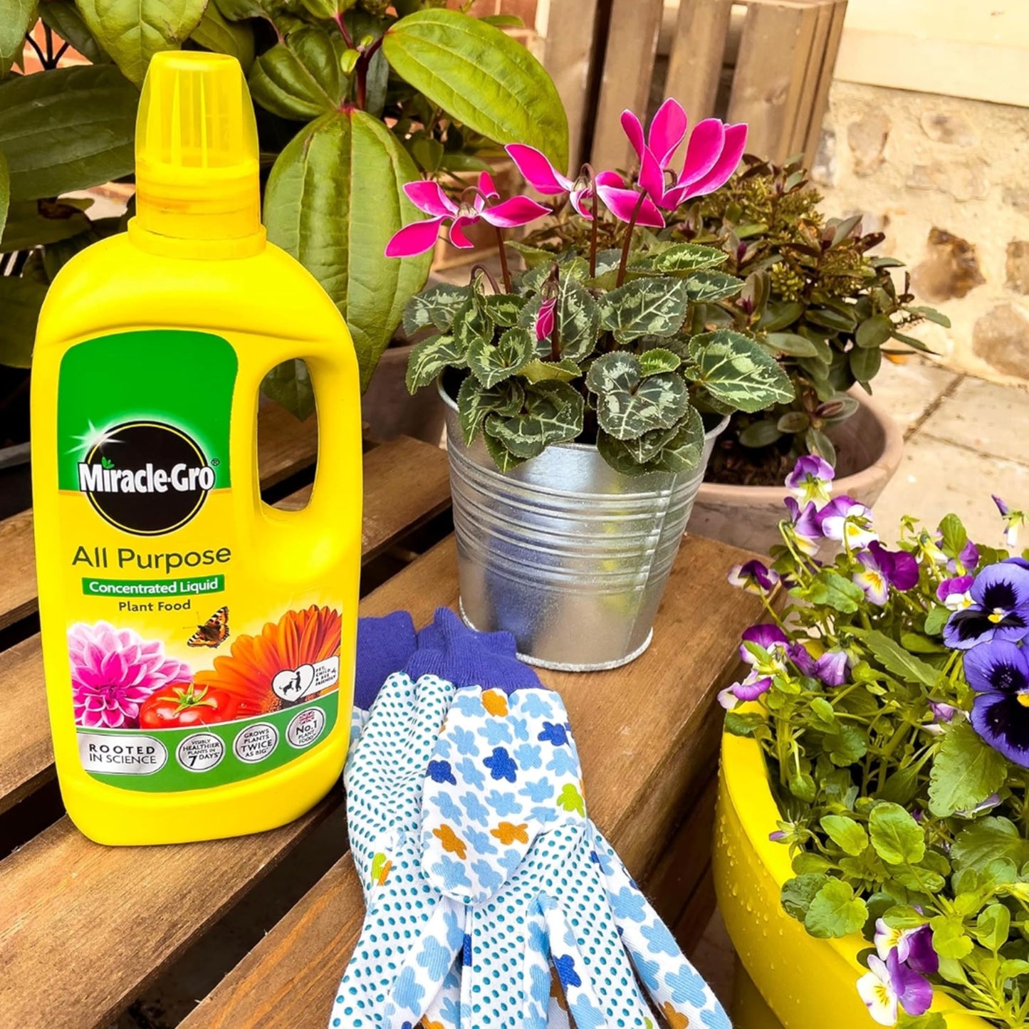 Miracle Gro Plant Food Bundle - 900g Slow Release 6 Month Plant Feed Granules & 800ml Concentrated Liquid Plant Food. All Purpose Garden Fertilizer for Outdoor & Indoor House Plants with Topline Card
