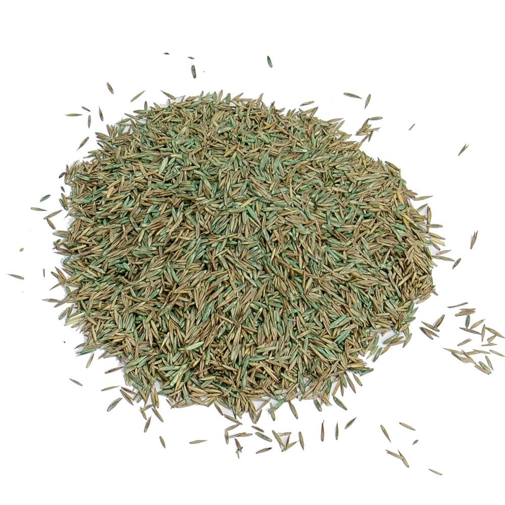Gro-Sure Fast Acting Lawn Seed 10m²