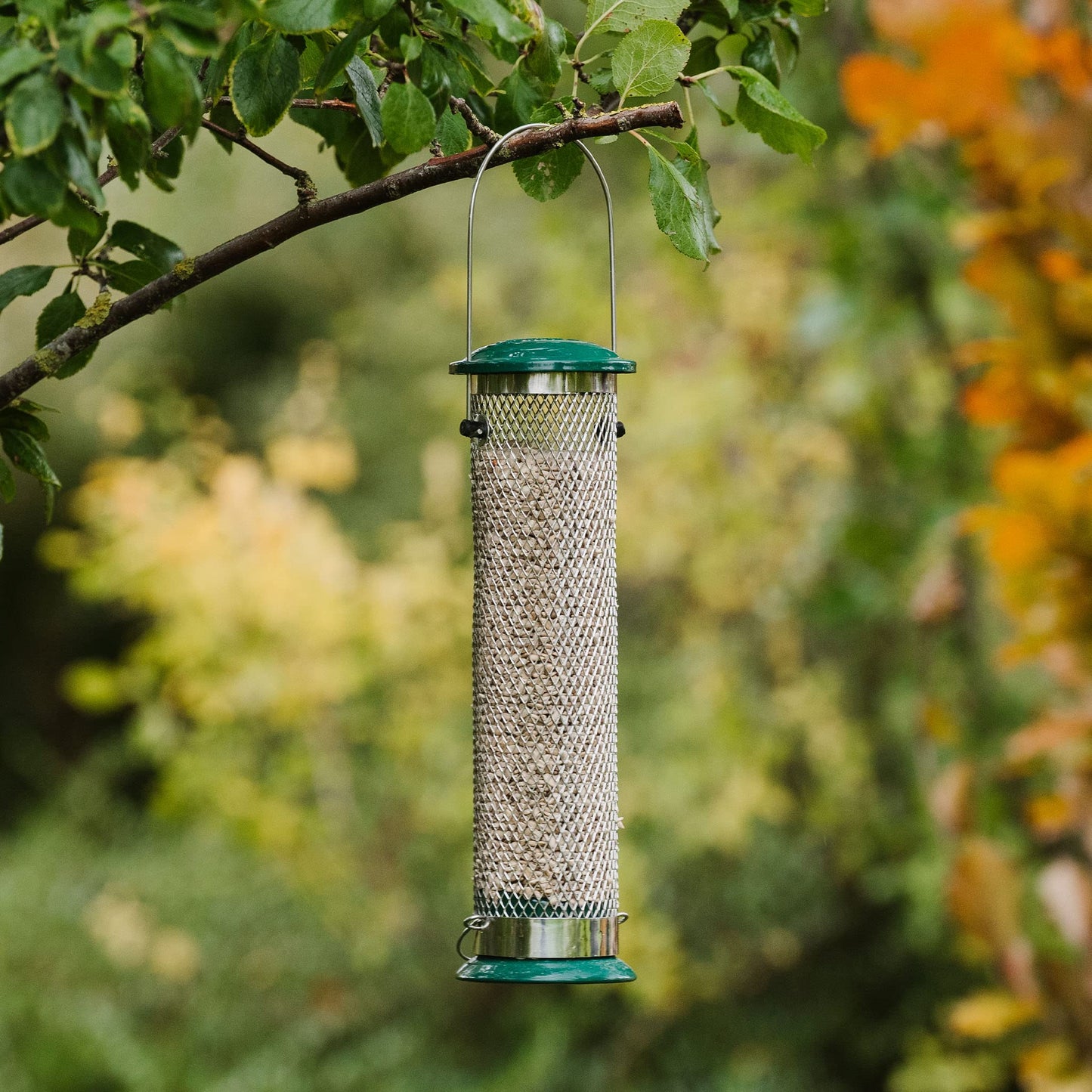 Peckish Large Metal All Weather Nyger Seed Bird Feeder