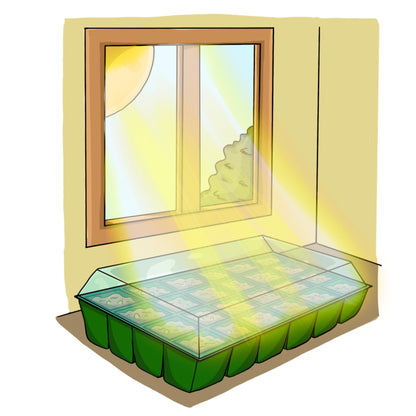Flower Seeds Advent Calendar 2024-24 Days Christmas Countdown Advent Calendar with Flower Seeds & Greenhouse. Christmas Gifts & Birthday Gifts