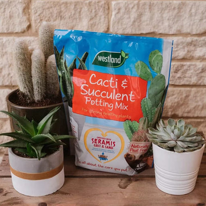 Westland Cacti & Succulent Growing Bundle - Peat Free Succulent Potting Mix Compost with Seramis 4L x 2 Bags & Cactus Feed Concentrate 200ml. House Plant Compost Food with Topline Card.