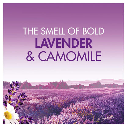 Bold LAUNDRY_DETERGENT