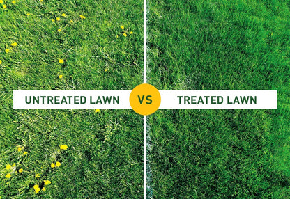 Garden Resolva Weed Killers Bundle - Path and Drive 1L Weedkiller Sprayer & Lawn Weed Killer Extra Strong 1L Ready-to-Use Garden Sprayer for Dandelions, Weed Remover with Topline Card.