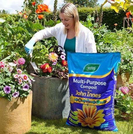 Topline Westland Multi-Purpose Garden Compost - Peat Free Multi Purpose Compost Soil with John Innes, 2 x 25L Bags with Topline Card for Indoor & Outdoor Plants, Growing Vegetables. (MPC2)