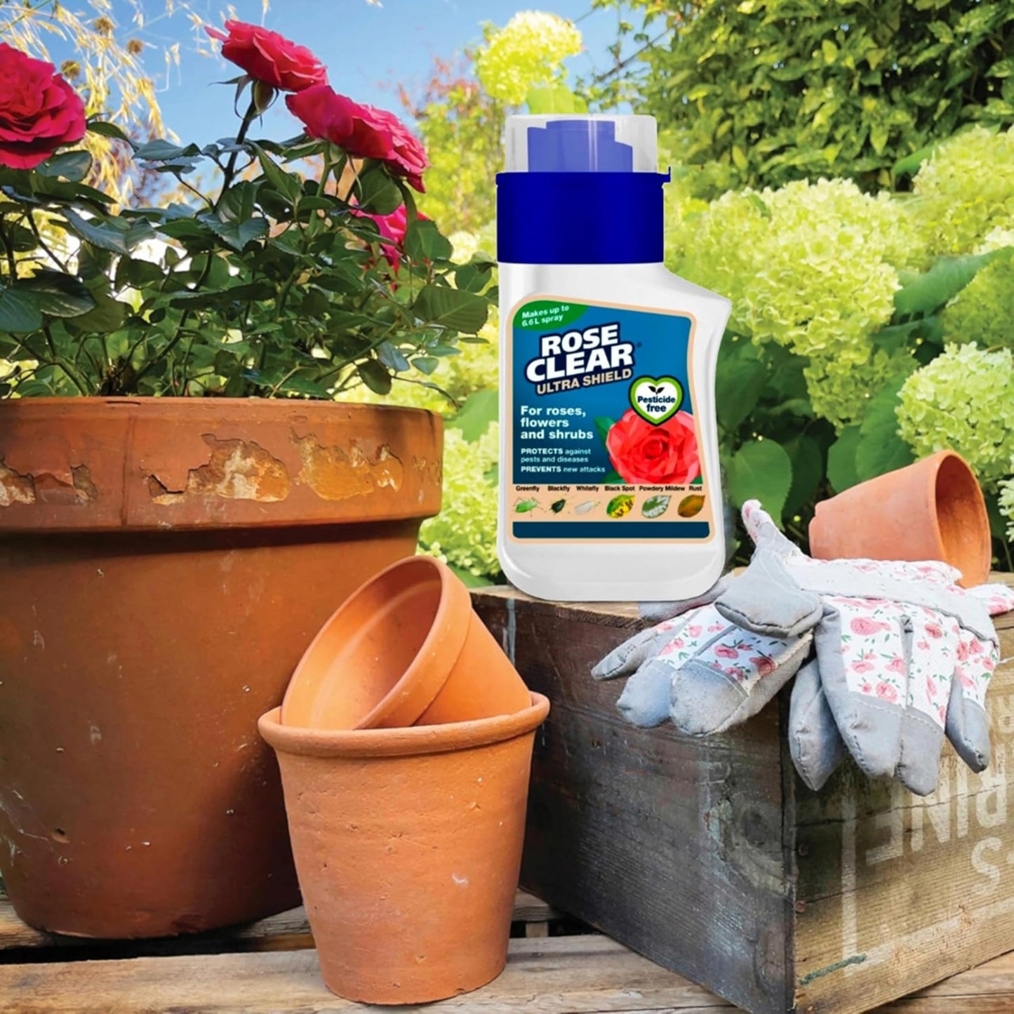 Rose Clear Bug Spray Killer - 1L Multi Purpose Home & Garden Spray Bottle & 3 in 1 Rose Ultra Shield Concentrate 200ml Insecticide and Fungicide Insect Killer. Rose Plant Protection with Topline Card