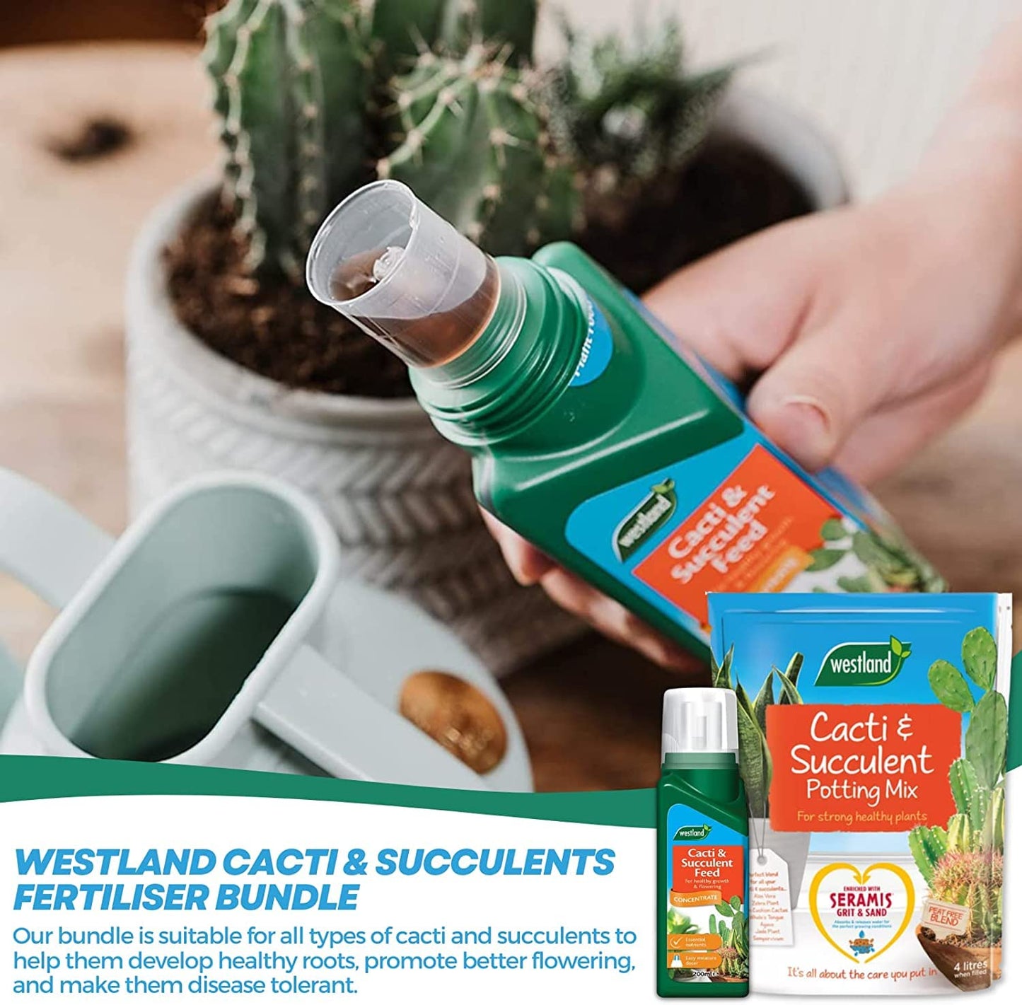 Westland Cacti & Succulent Growing Bundle - Peat Free Succulent Potting Mix Compost with Seramis 4L x 2 Bags & Cactus Feed Concentrate 200ml. House Plant Compost Food with Topline Card.