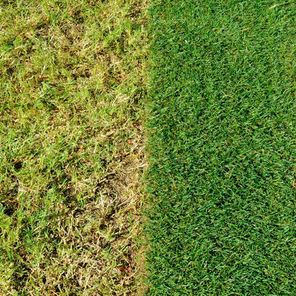 Fast Growing Grass Seed Bundle - Miracle GRO Child & Pet Friendly Fast Grass Lawn Seed 480g 16m2 & Complete 4in1 Lawn Food Spreader 2.8kg 80m2 Spring Lawn Feed Weed and Moss Killer with Topline Card