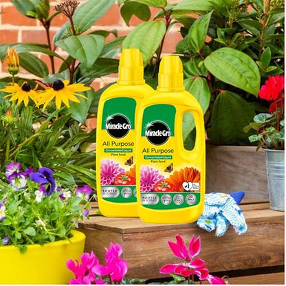Miracle Gro Plant Food Fertiliser - Pack of 2x800ml All Purpose Plant Feed Concentrated Liquids with Topline Card. Child & Pet Friendly Garden Fertilizer for Outdoor & Indoor House Plants, Vegetables