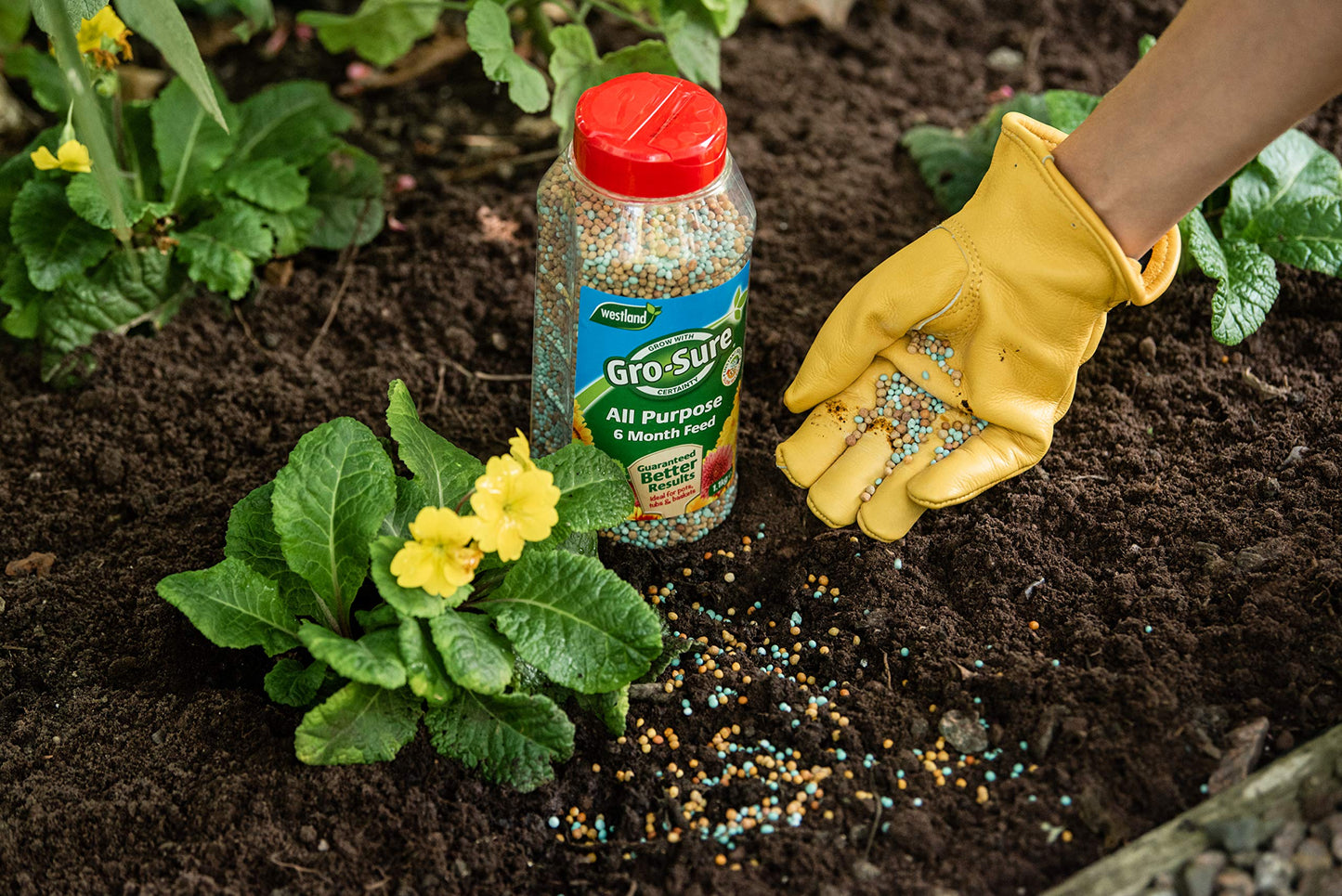 Gro-Sure Slow Release Plant Food