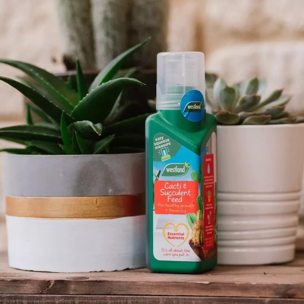 Westland Cacti & Succulent Growing Bundle - Peat Free Succulent Potting Mix Compost with Seramis 4L Bag & Cactus Feed Concentrate 200ml. House Plant Compost Food with Topline Card.