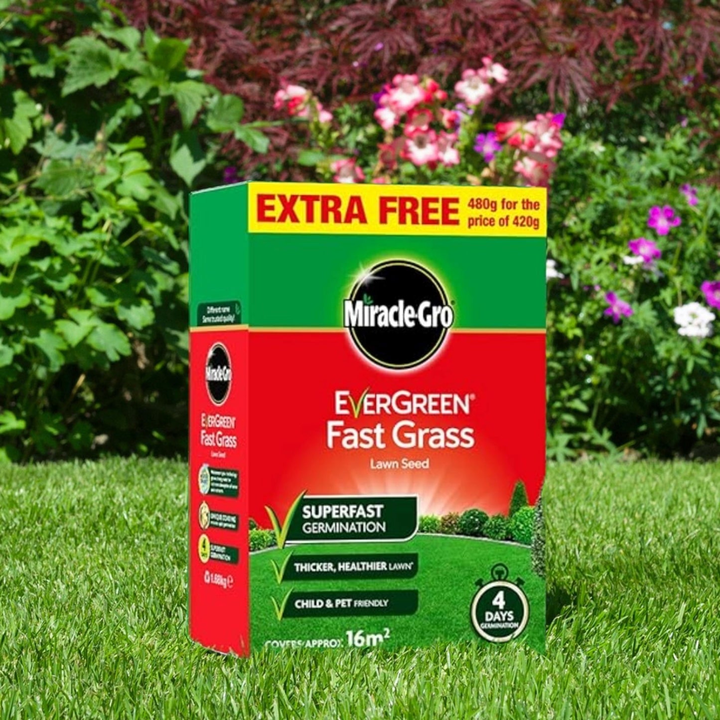 Fast Growing Grass Seed Bundle - Miracle GRO Child & Pet Friendly Fast Grass Lawn Seed 480g 16m2 & Complete 4in1 Lawn Food Spreader 2.8kg 80m2 Spring Lawn Feed Weed and Moss Killer with Topline Card