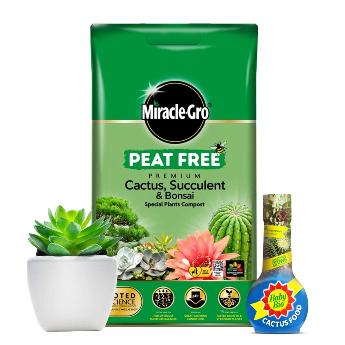 Cactus Succulent Plants Growing Bundle - Peat Free Cacti Bonsai Potting Compost 10L & Cactus Plant Feed Liquid Concentrated Fertiliser 175ml Houseplant Food Compost for Indoor Plants with Topline Card