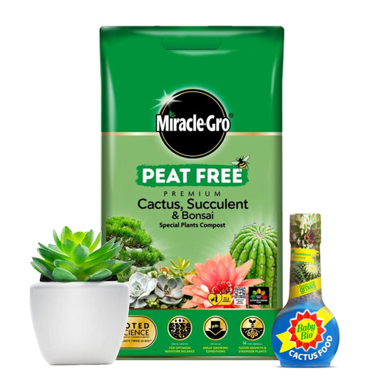 Cactus Succulent Plants Growing Bundle - Peat Free Cacti Bonsai Potting Compost 10L & Cactus Plant Feed Liquid Concentrated Fertiliser 175ml Houseplant Food Compost for Indoor Plants with Topline Card