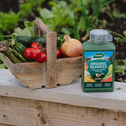 Westland Seaweed Garden Plant Food Organic Liquid 1L Pack of 2