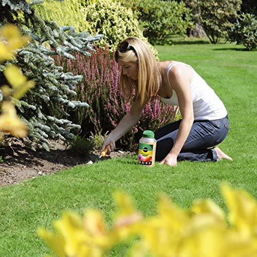 Miracle-Gro Continuous Release All Purpose Plant Food 900g