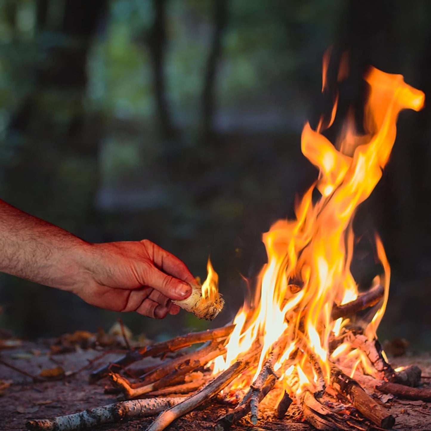 Eco Natural Wood Wool Firelighters - Box of 500 High Performance Odorless Natural Firelighters Approx 7kg Fire Lighters for Wood Burners, Pizza Oven, BBQ Kamado's, Open Fire and more