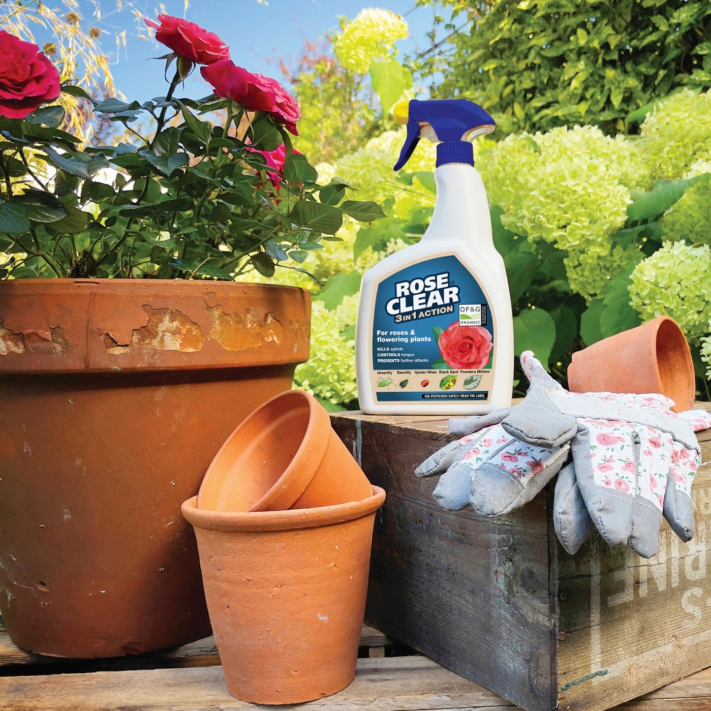 Rose Clear Bug Spray Killer 800ml Pack of 2
